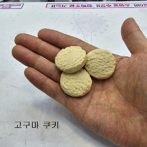 앵무새 간식 쿠키 장염예방쿠키 65g